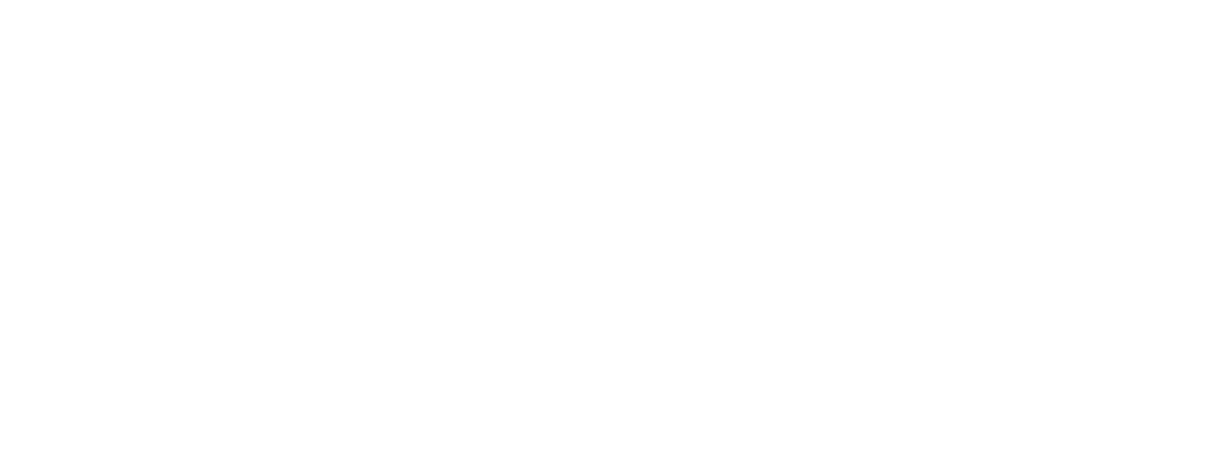Bike TN Logo
