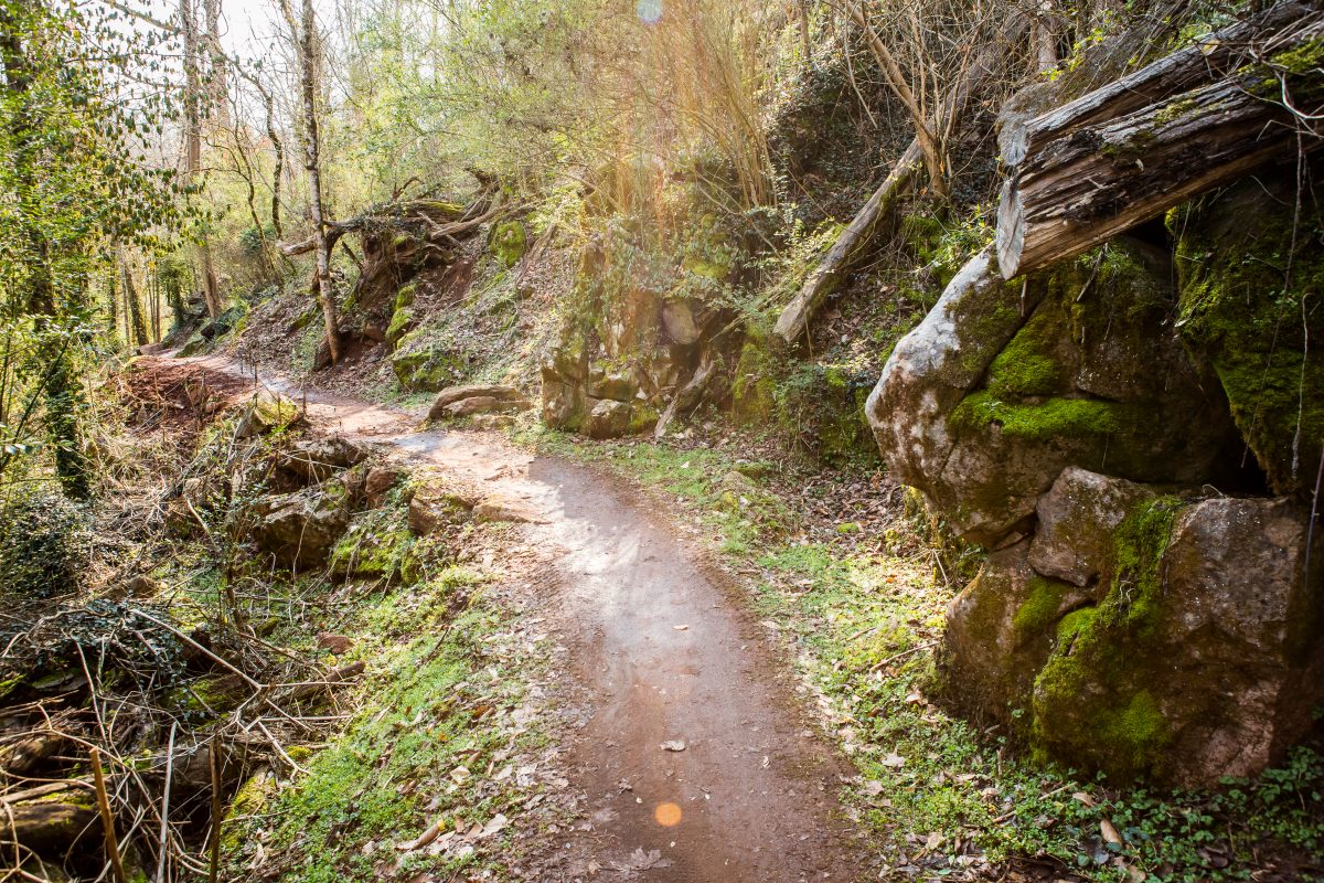 sharps ridge mountain bike trails