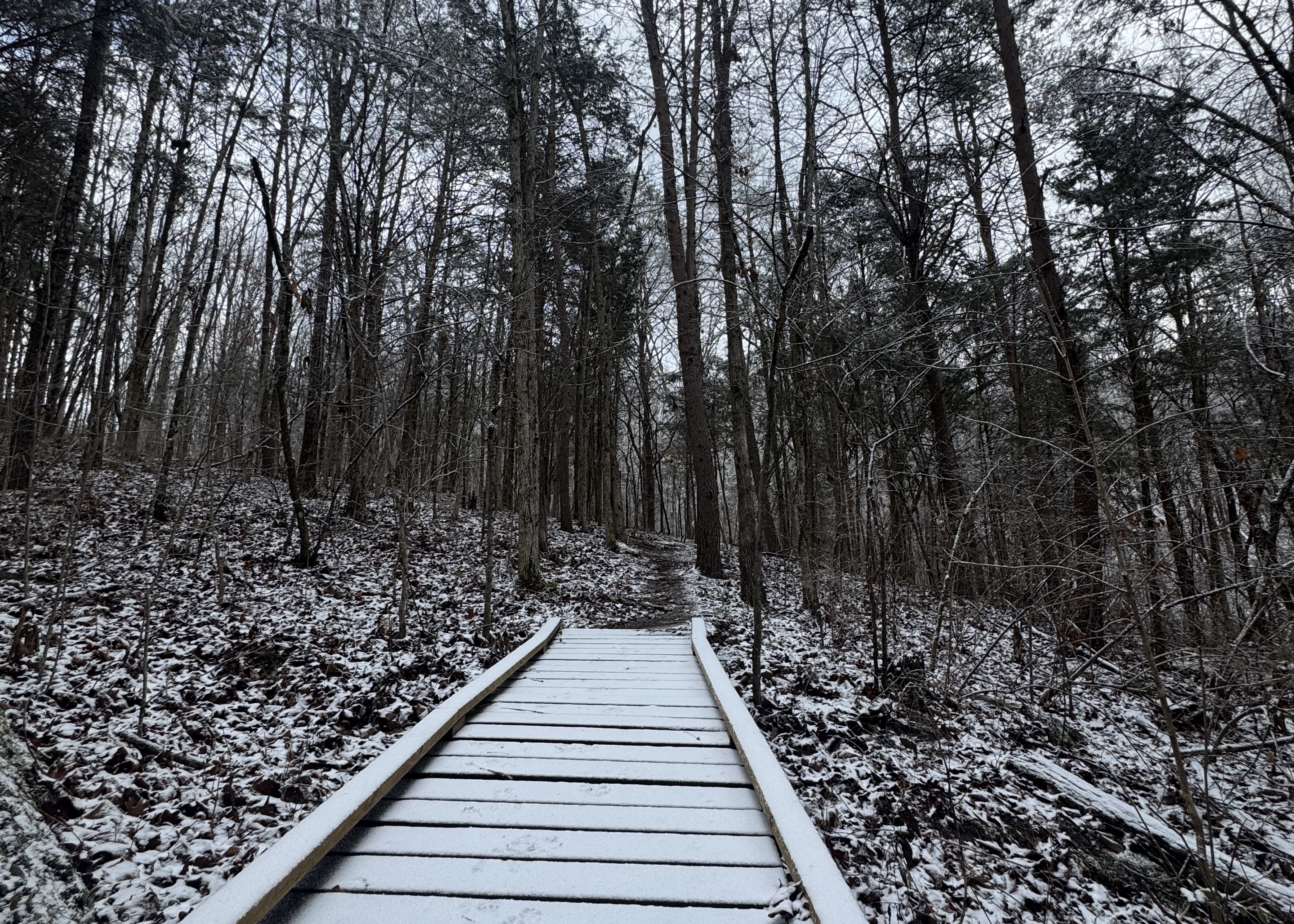 Snowy and icy trail in Knoxville, TN.